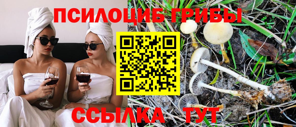 Галлюциногенные грибы MAGIC MUSHROOMS Кузнецк